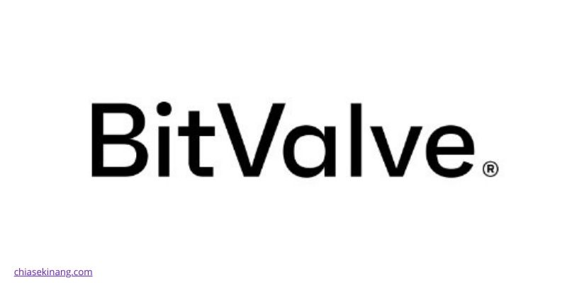 Đồng BitValve
