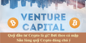 quy-dau-tu-crypto-venture-capital